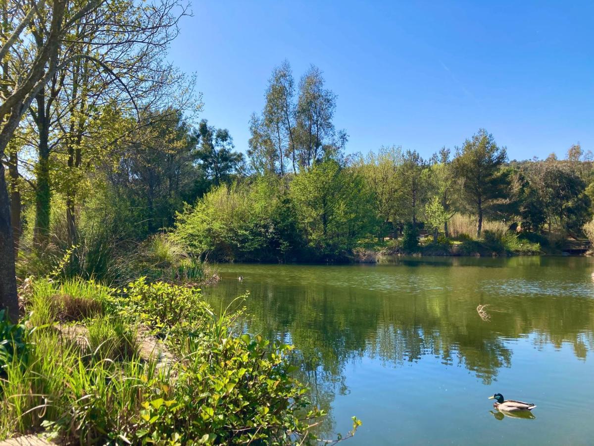 Les Restanques 2268 Glycines Διαμέρισμα Grimaud Εξωτερικό φωτογραφία